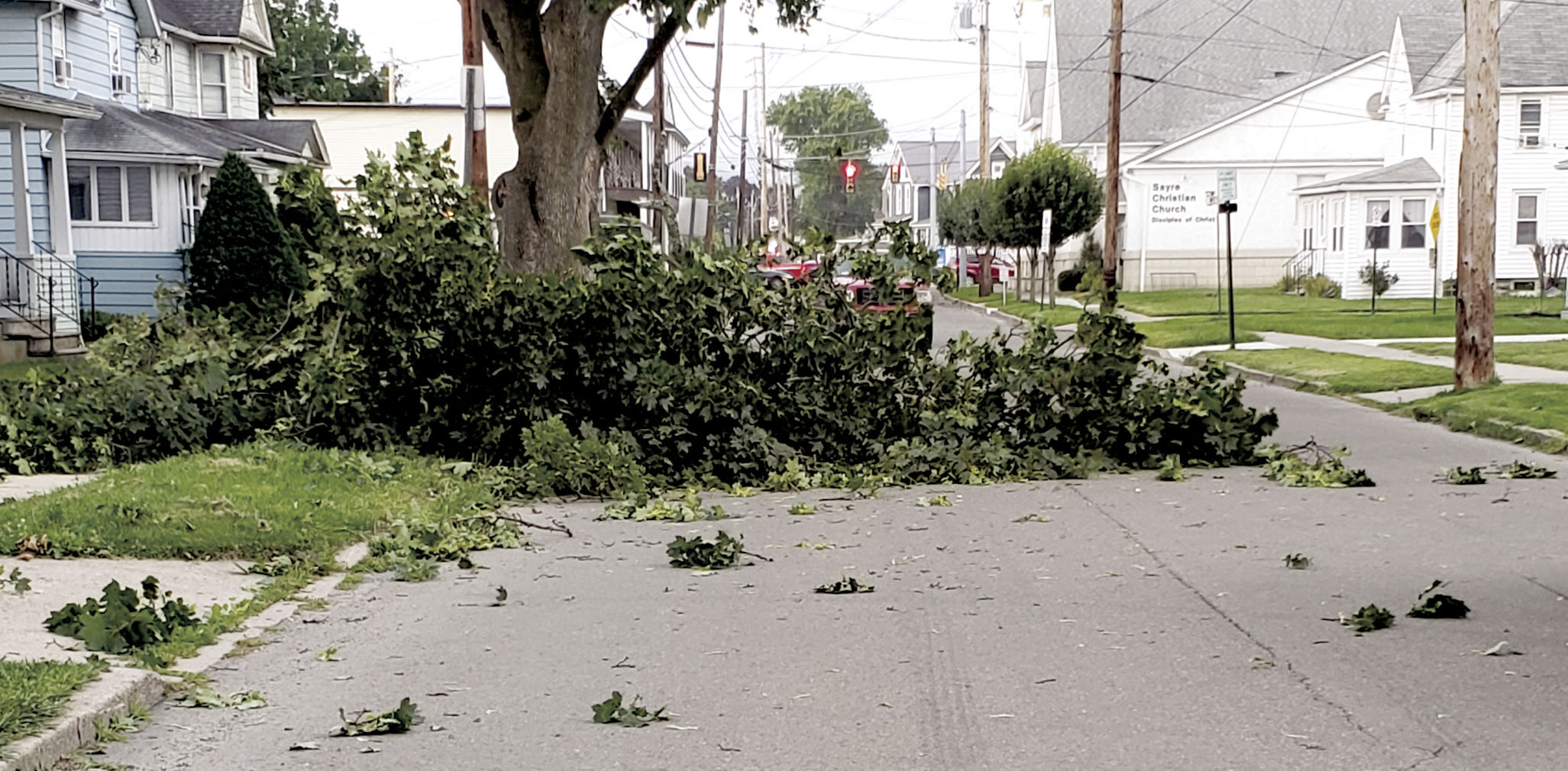 Wind brings down tree, blocks Lincoln Street